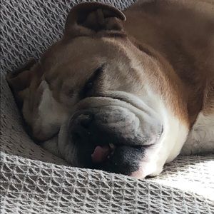 Meet your Posher, Katherine